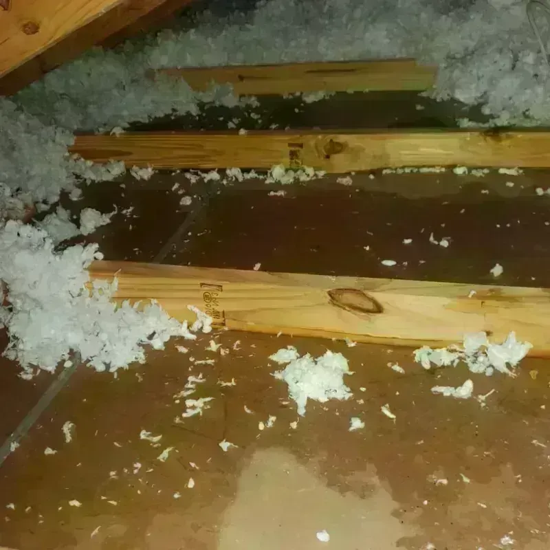 Attic Water Damage in Edwards, MS