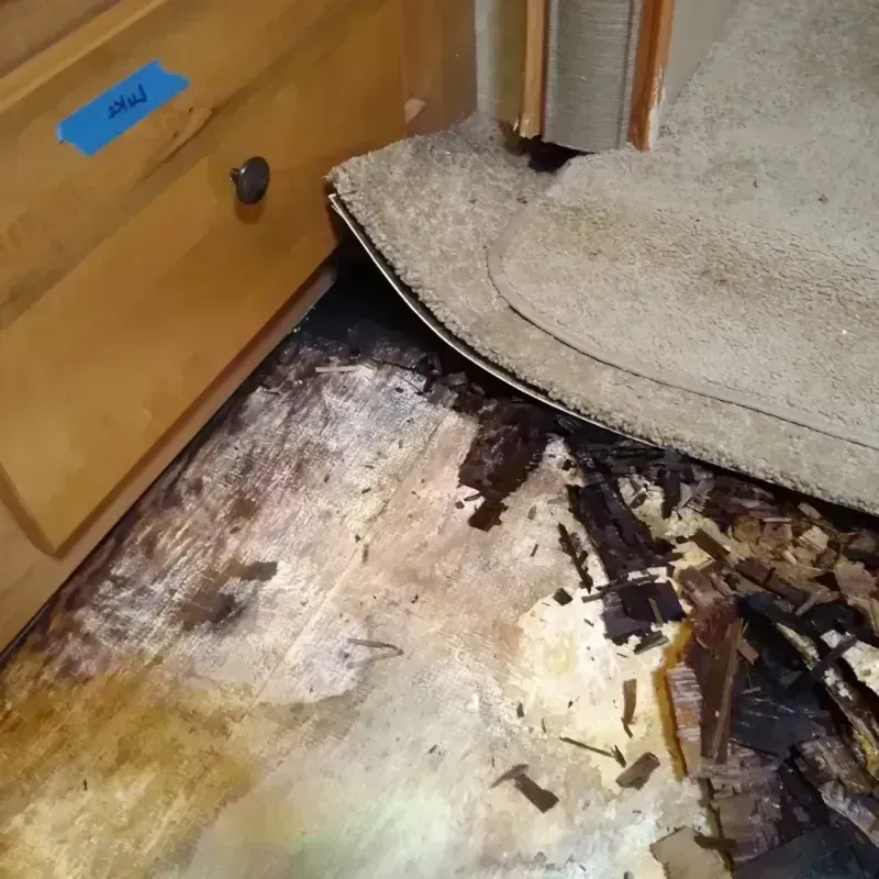 Wood Floor Water Damage in Edwards, MS